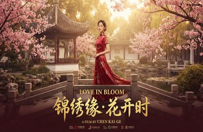 海角精选视频 - 都市情缘